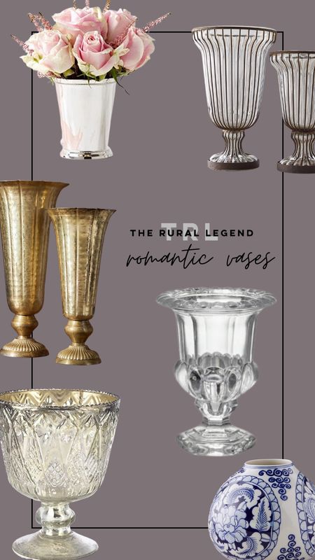 Romantic, vintage, inspired flower vases on a budget from Wayfare, anthropology, and Amazon

#LTKFind #LTKhome #LTKGiftGuide