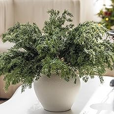 MISSPIN 12 Pcs 21.5 Inches Christmas Cedar Branches, Cedar Artificial Christmas Branches DIY Craf... | Amazon (US)