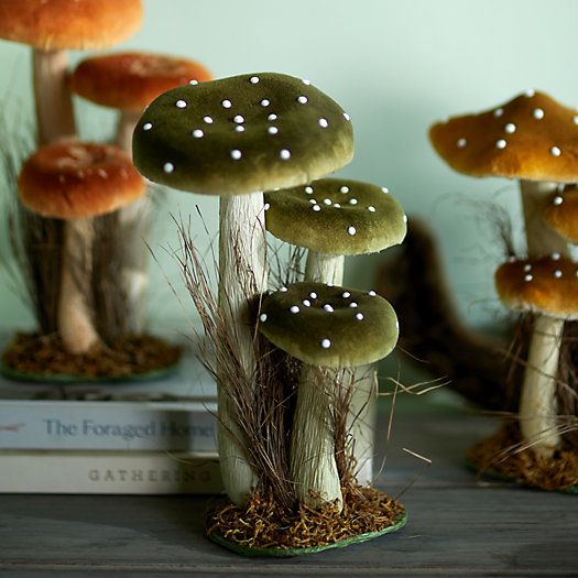 Velvet Mushroom Trio | Terrain