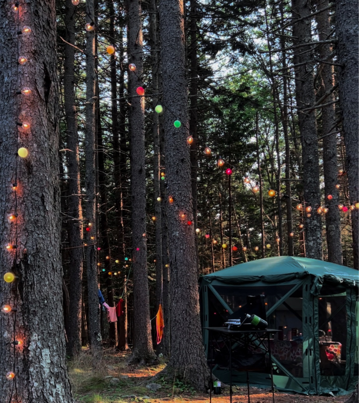 Making my campsite magical! 

#LTKSeasonal