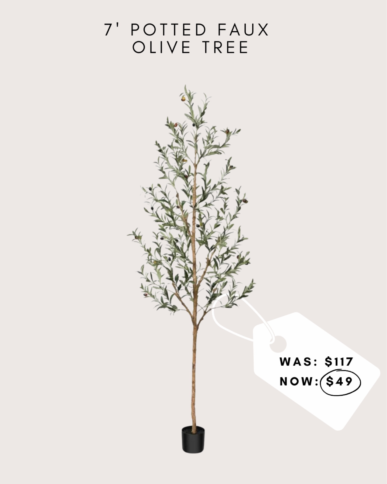 Such a steal! I love a faux olive! 🫒 

#LTKsalealert #LTKfindsunder50 #LTKhome