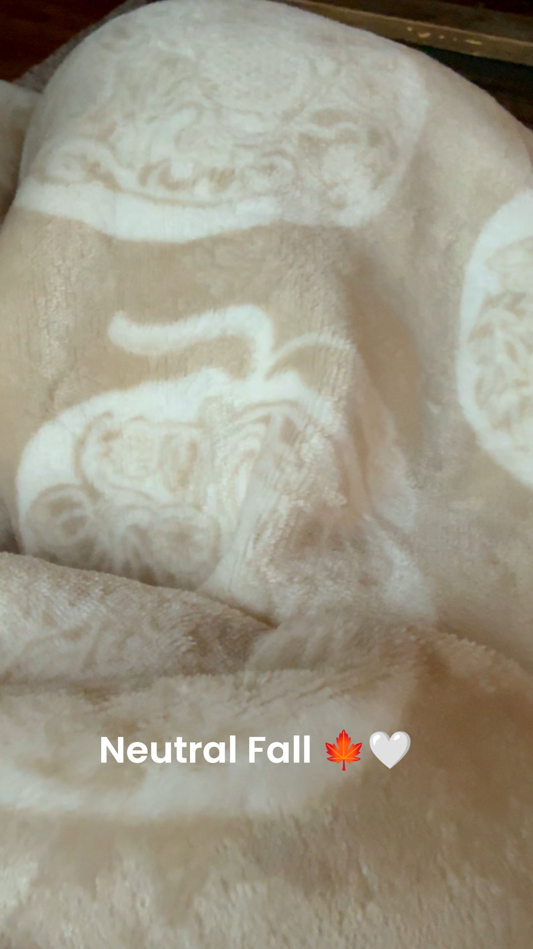 Love, making a house at home during all the seasons, including fall 🍁
This is perfect for any space in your home to cozy up and affordable too! 

Fall home decor


#LTKSeasonal #LTKHome #LTKFindsUnder50