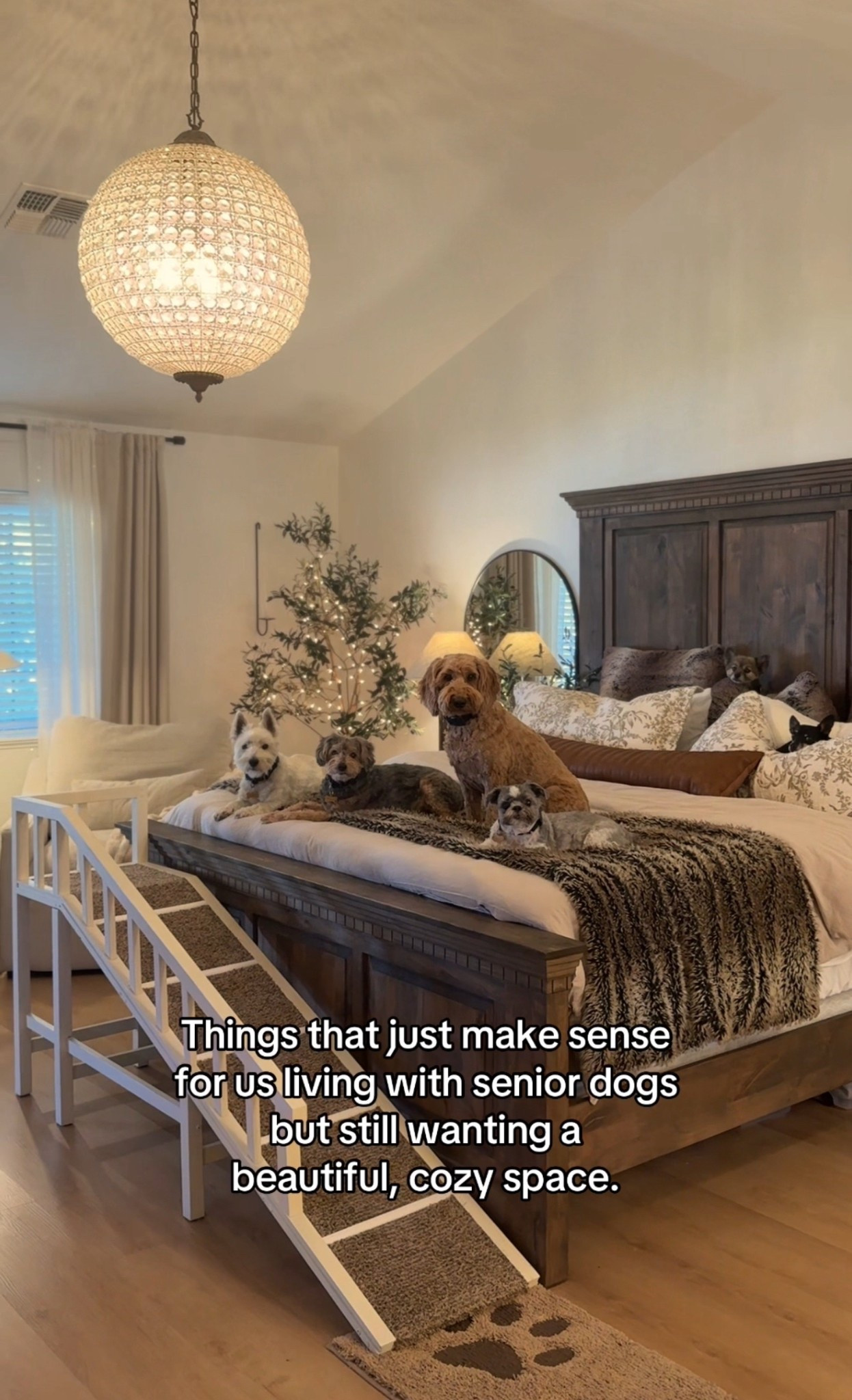 Pet friendly master bedroom must haves 

#LTKHome #LTKPets #LTKSeasonal