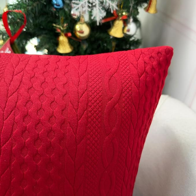 Booque Valley Throw Pillow Covers, Pack of 2 Super Soft Elegant Modern Embossed Patterned Red Cus... | Amazon (US)