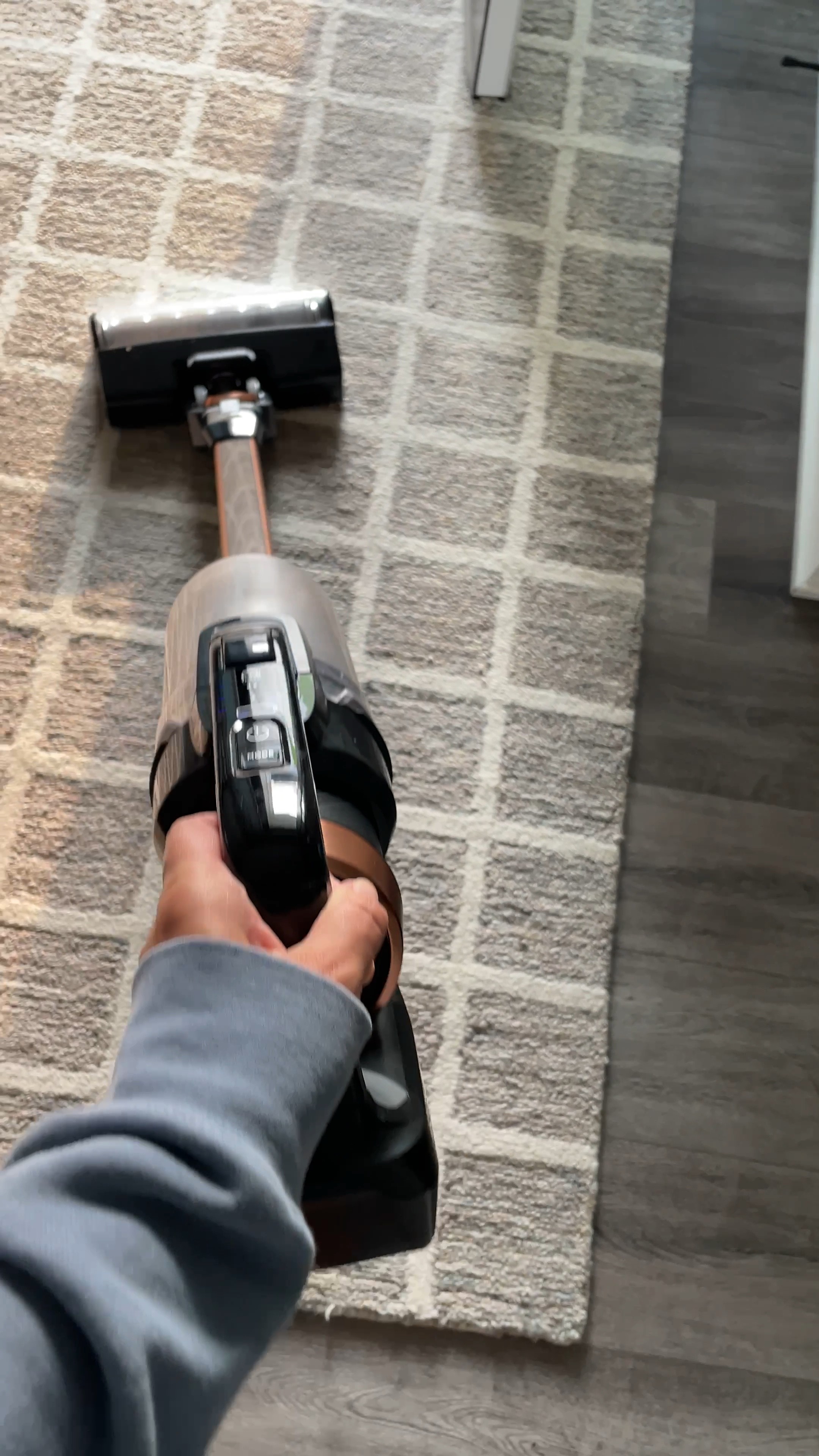 A cordless vacuum is a GAMECHANGER in the home. I can’t believe we went so long without one. 🤯 We chose the Bissell IconPet because well… dog hair. And we vacuum at least twice a day now. It’s what Bissell specializes in and we’ve been beyond happy with its performance, ease of use & features. Found the model in various colors & at different price points - all linked below. WORTH EVERY PENNY. #vacuum #cordlessvacuum #bissell #homenecessities #homegadgets #cleaning #giftideas 

#LTKhome #LTKfamily