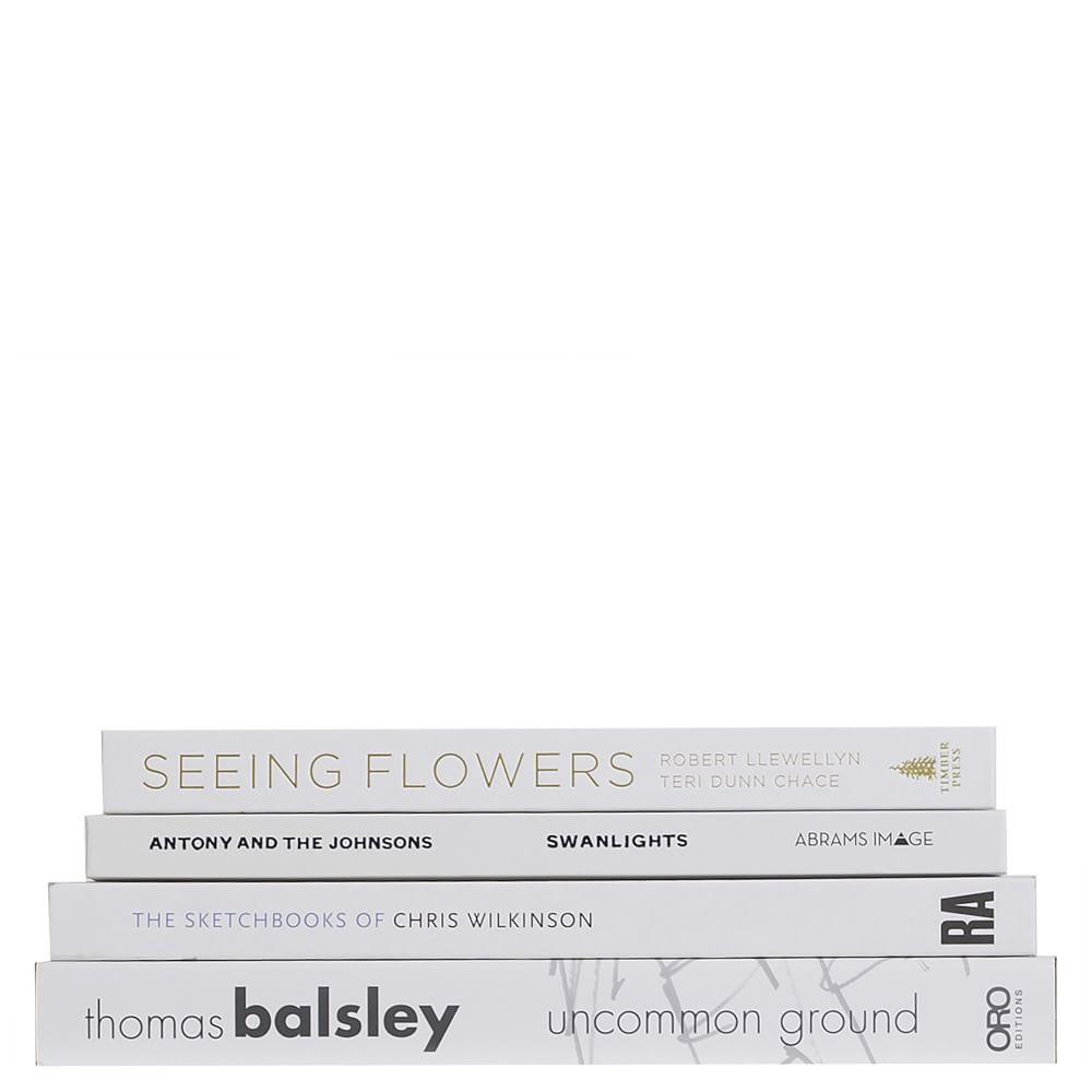 Modern ColorStak Books | West Elm (US)