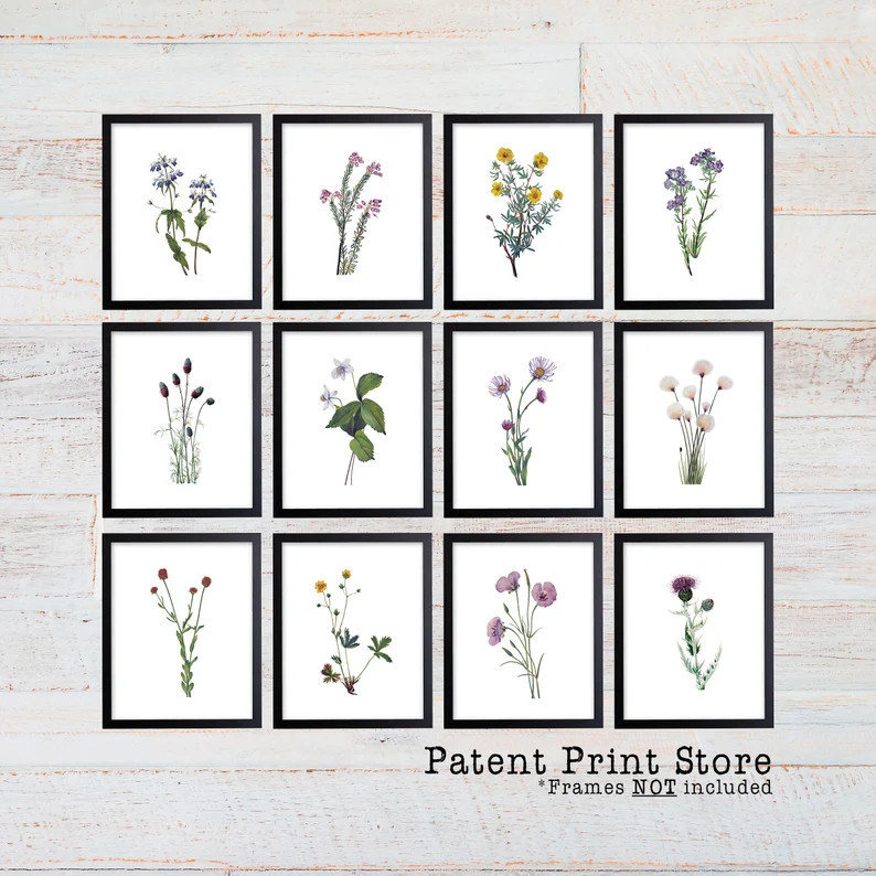 Vintage Watercolor Wildflower Prints, Set of 12, Botanical Art - Etsy | Etsy (Global)
