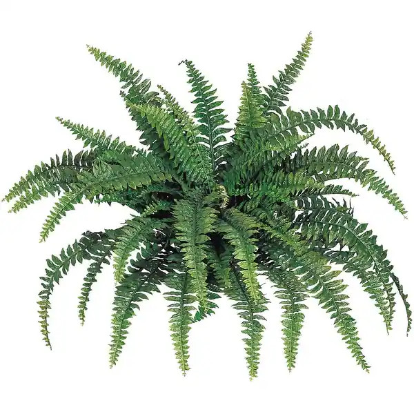 Wild Fern Haven: 48" Artificial Silk Boston Fern Plant - Indoor/Outdoor, All-Weather, UV-Protecte... | Bed Bath & Beyond