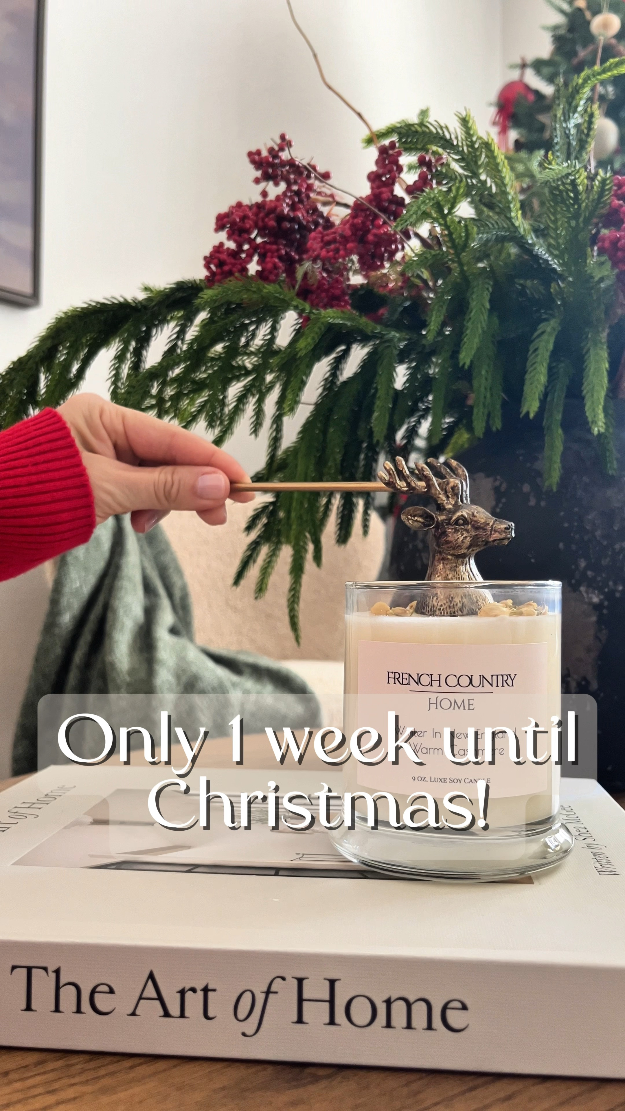 The cutest candle snuffer for Winter 🦌🕯️🎄❤️

#LTKHoliday #LTKSeasonal #LTKHome