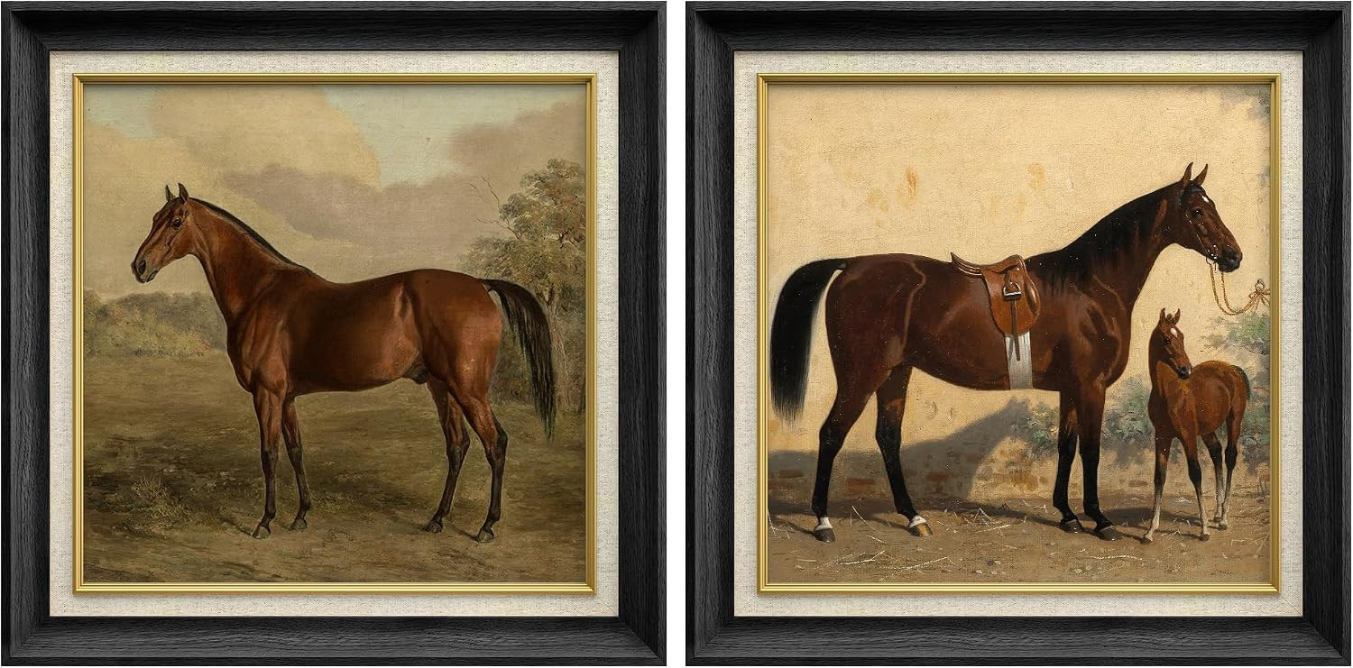 MUDECOR Premium Framed Wall Art Noble Horse Portrait with Countryside Scenery Illustrations Fine Art Decorative Retro Multicolor for Living Room, Bedroom, Office - 26"x26"x2 Black | Amazon (US)