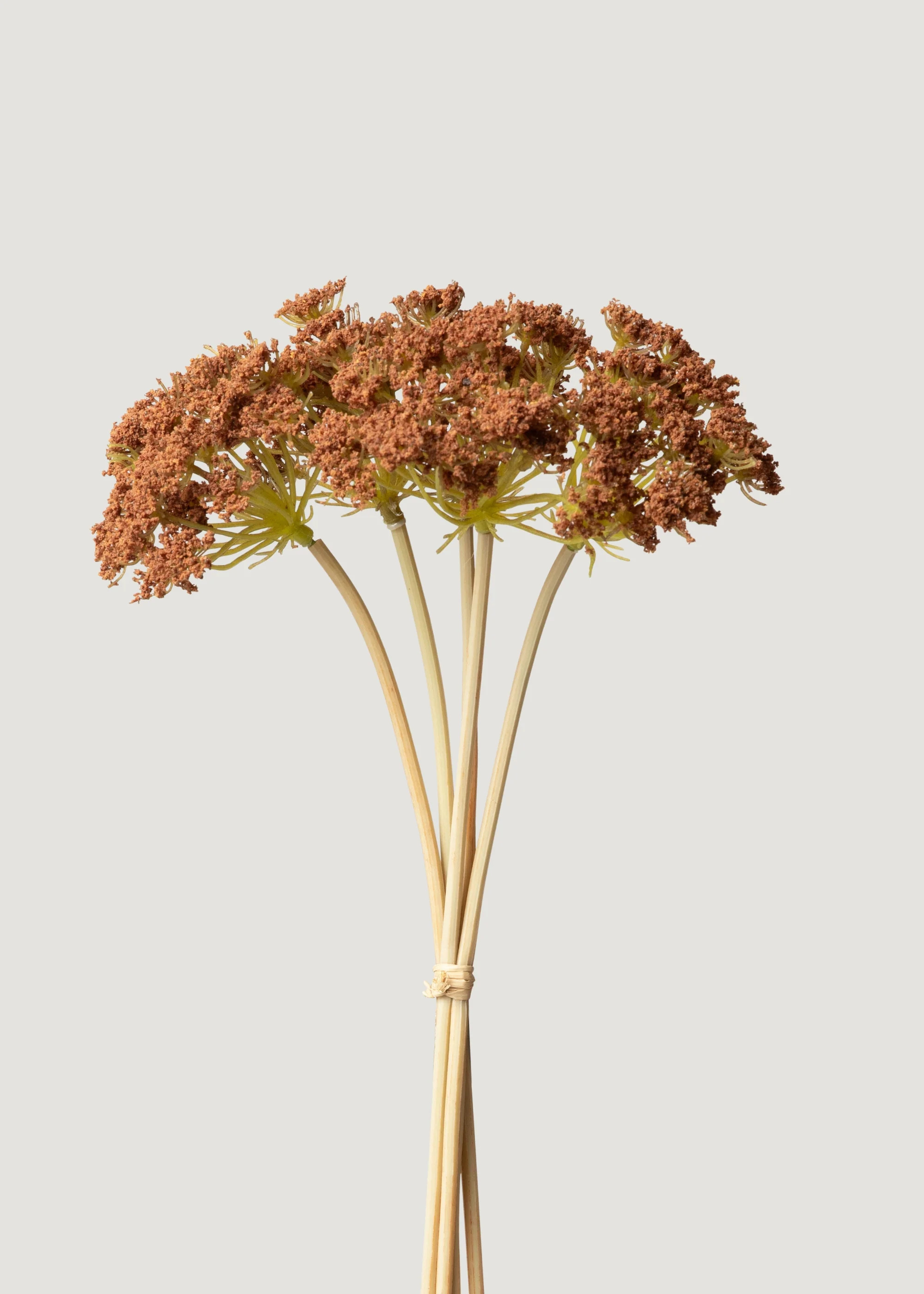 Bronze Brown Yarrow Bundle | Artificial Wildflowers | Afloral | Afloral
