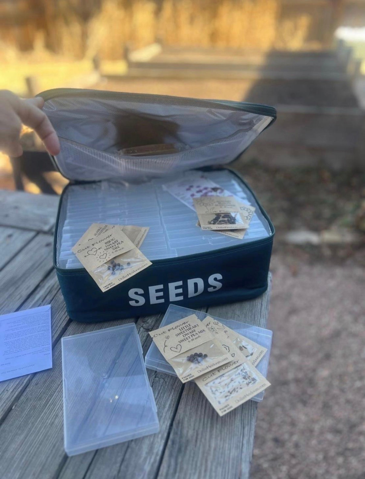 Getting my seeds organized has allowed me to feel a lot less chaotic 🌱 I love having everything in one place, and it makes planning what to grow so much easier!