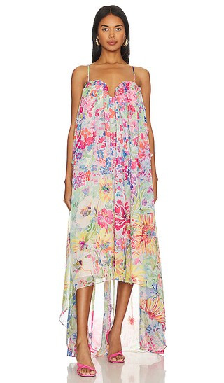 Iago Gown in Floral Multi | Revolve Clothing (Global)