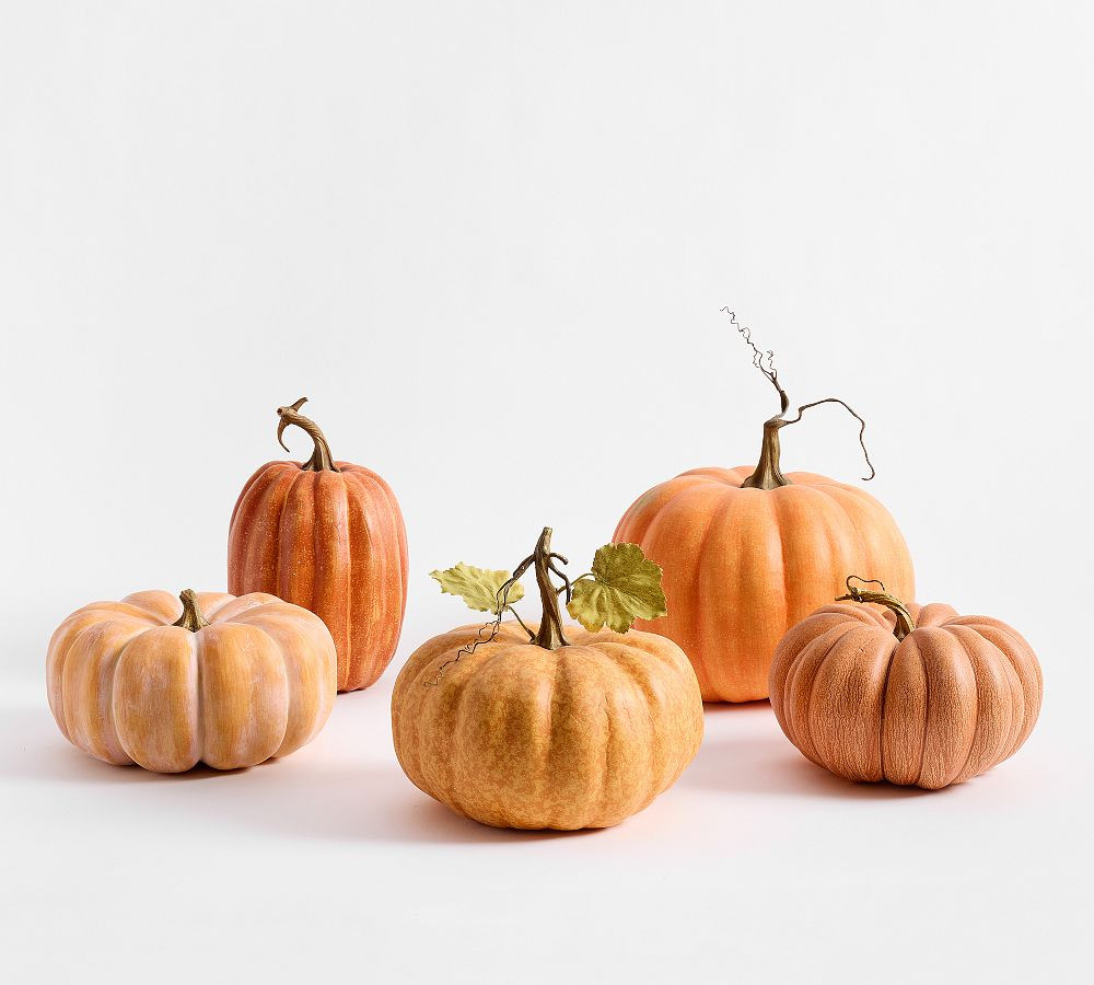 Orange Pumpkins & Gourds - Set of 5 | Pottery Barn (US)