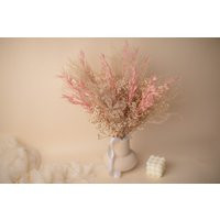 Pink Oats Pampas Grass & Preserved Baby's Breath Boho Bridal Bouquet/Wedding Dried Flowers | Etsy (US)