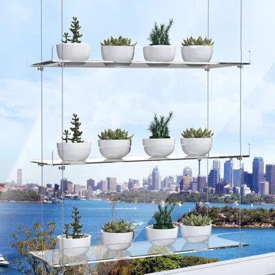 3-Tier Height Adjustable Hanging Acrylic Plant Stand For Windows,Maximizing The Amount Of Sunlight That Reaches Your Plants Like Fresh Herbs, Veggie, | Wayfair North America