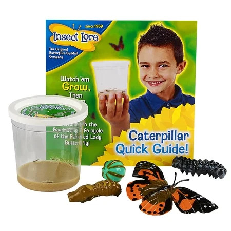 Insect Lore 5 Live Caterpillars Cup of Caterpillars Butterfly Kit Refill - Plus Butterfly Life Cycle | Walmart (US)