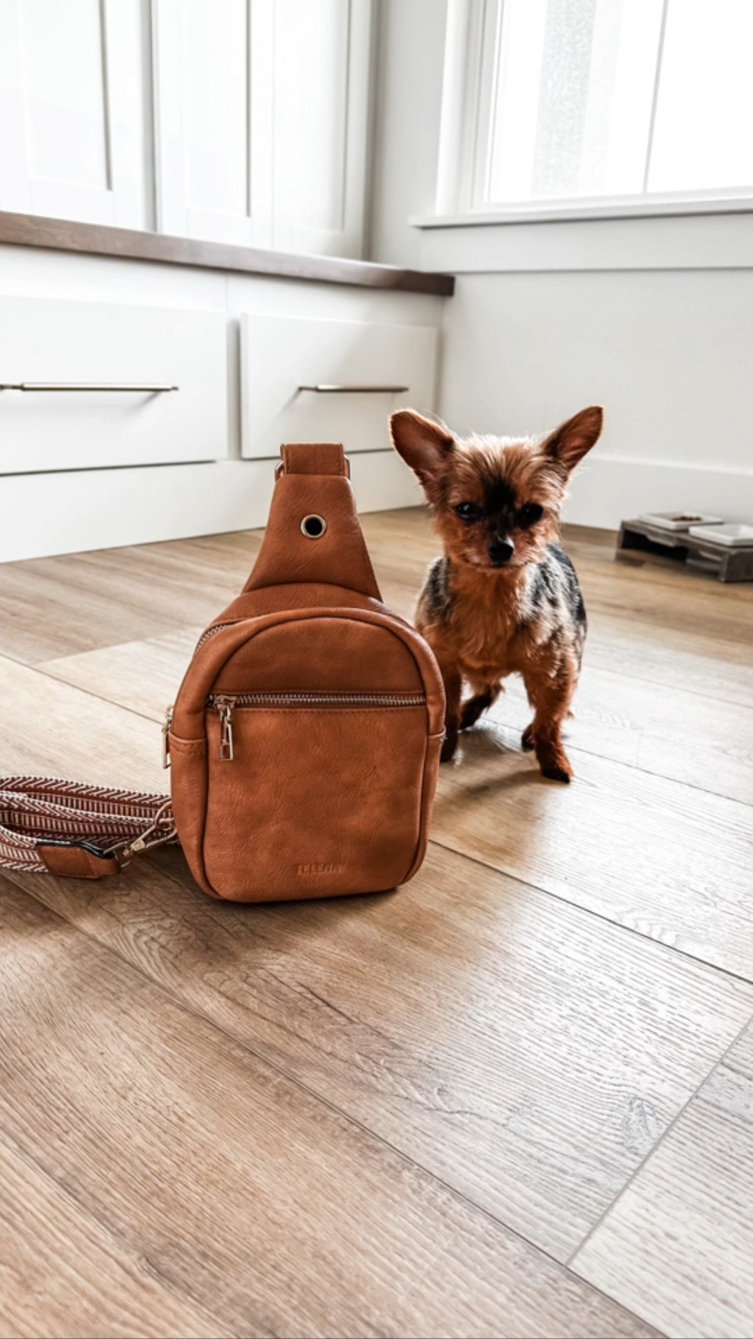 Favorite Sling Bag!

(Puppy not included 🥺)

#slingbag #crossbody #bag #ltkmom #founditonamazon #favoritebag #purse #busymom #accessories 

#LTKitbag #LTKFind #LTKstyletip