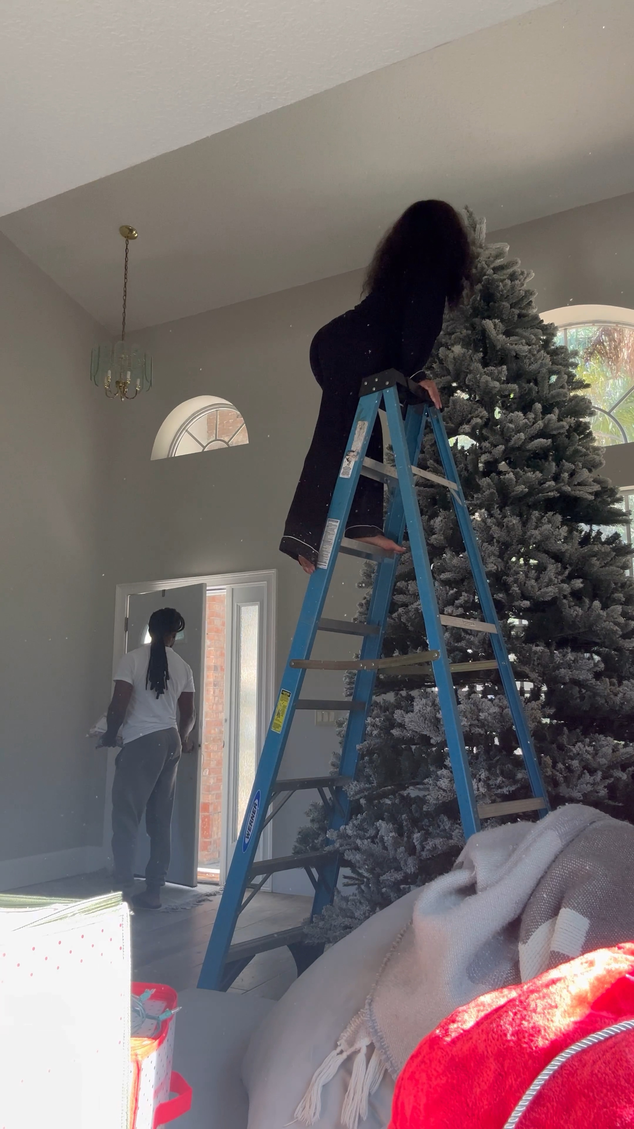 Put up our #KingofChristmas #Christmas #tree with us in under a minute! We finally ditched real #Christmastrees for this #artificialchristmastree 3 years ago. Still one of the best #holiday decisions we’ve made! Save up to 65% #cyberweek! Feel free to drop any questions in the comments 🎄

#christmastree #holidaydecor #christmasdecor 

#LTKHoliday #LTKSeasonal #LTKWatchNow