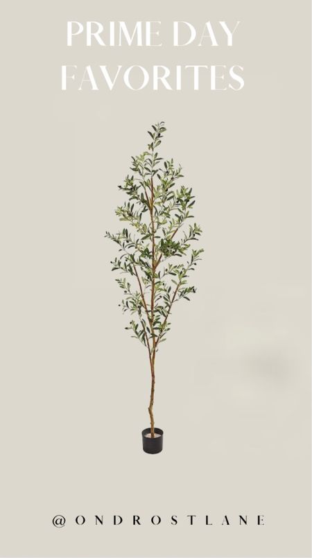Olive tree on major sale!

#LTKSeasonal #LTKxPrimeDay #LTKhome
