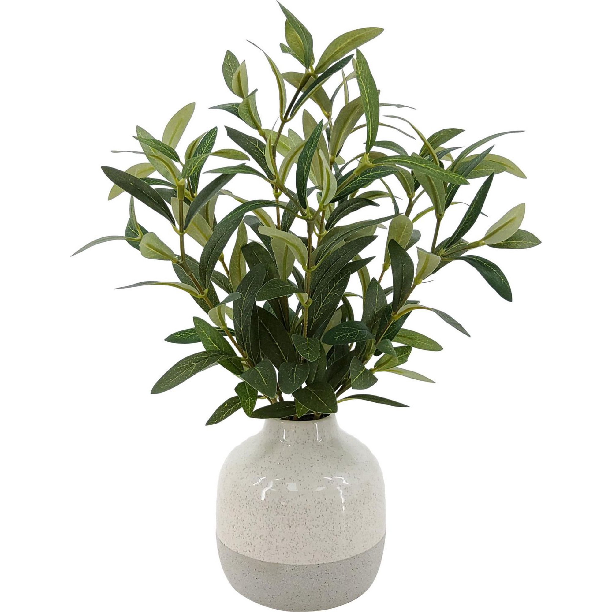 Better Homes & Gardens 14in Indoor Artificial Olive Plant in 2-Tone Ceramic Vase | Walmart (CA)