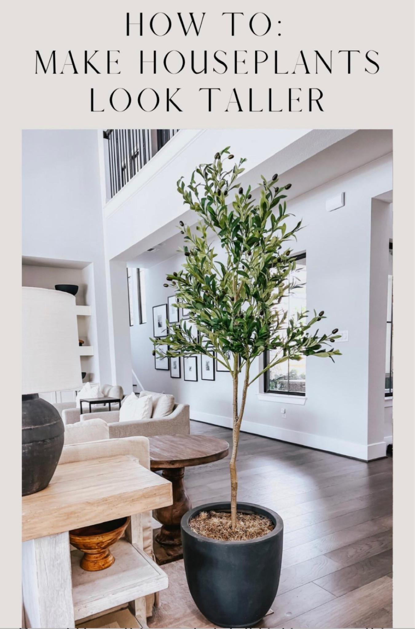 Our faux olive tree from Amazon! 

#founditonamazon

Lee Anne Benjamin 🤍

#LTKstyletip #LTKunder50 #LTKhome