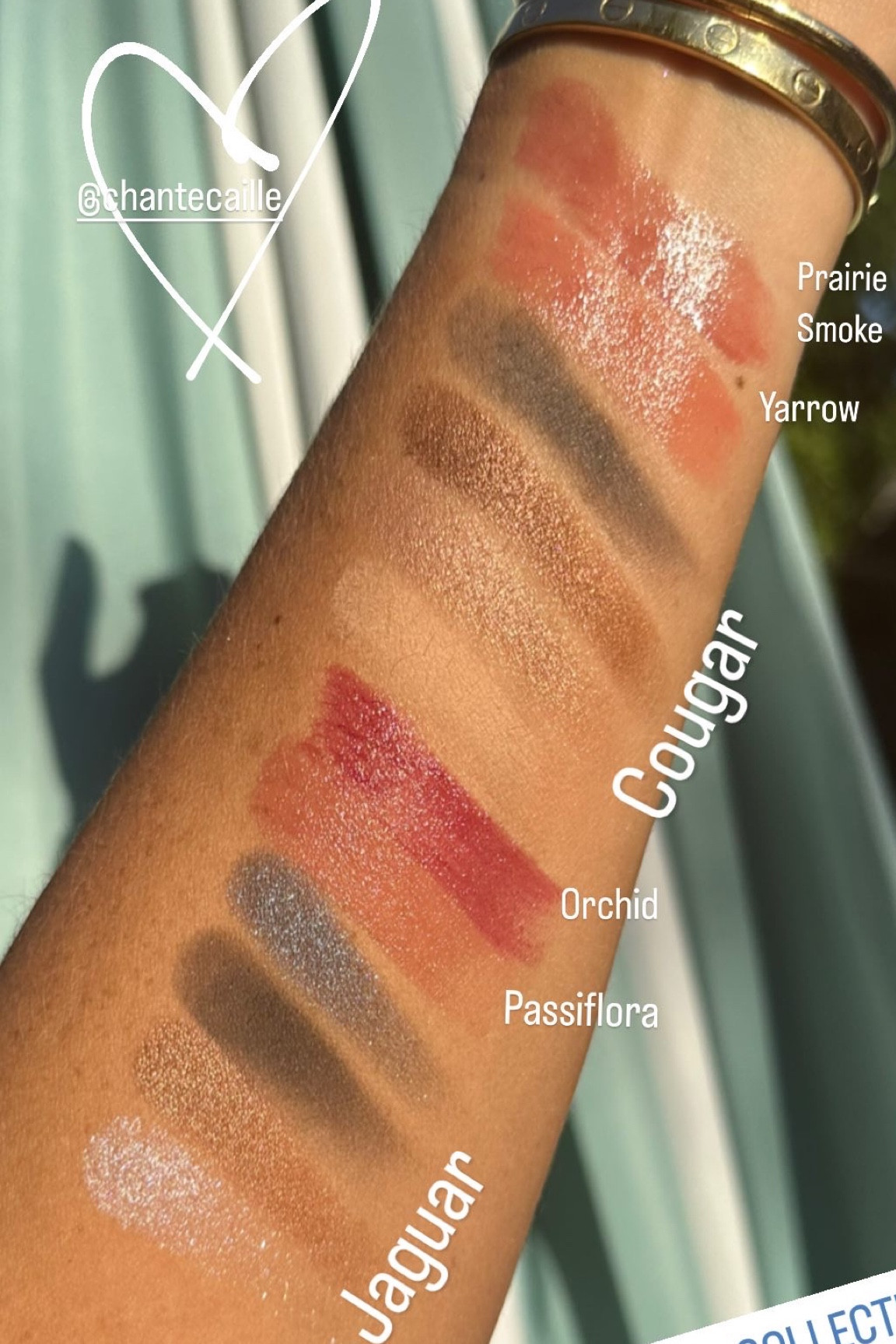 Chantecaille, fall makeup, holiday makeup 

Chantecaille newness! Hope these swatches are abundantly helpful 🤍

#LTKbeauty #LTKSeasonal #LTKunder100