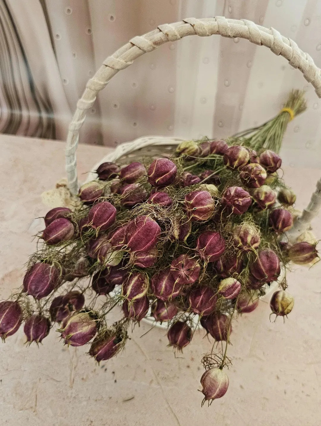Dried Nigella Pods, 15 Stems, Natural Flower Arrangement - Etsy | Etsy (Global)