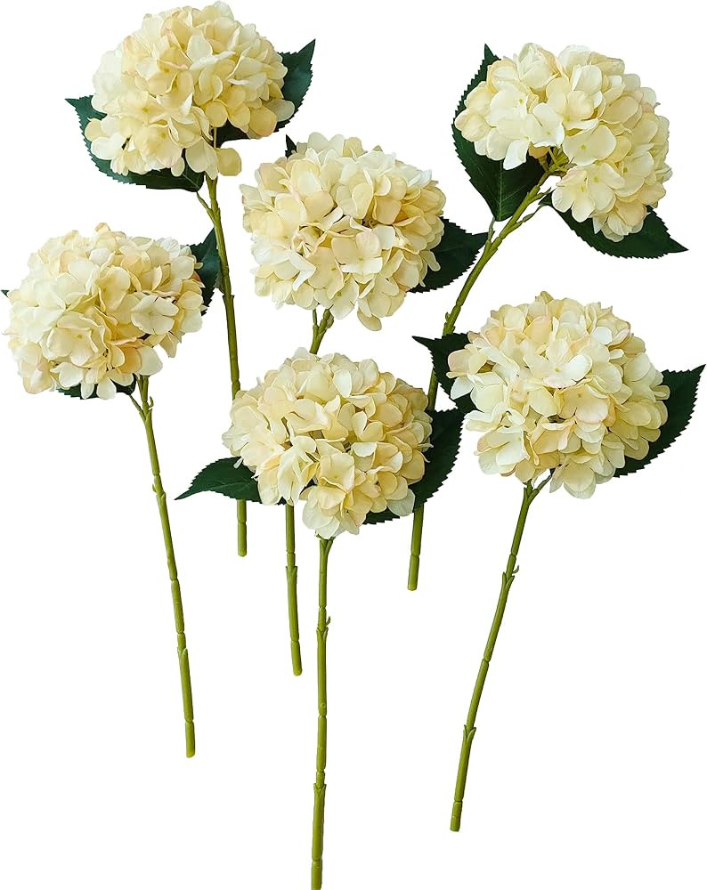 Brand: ARTIFIPLANT | Amazon (US)