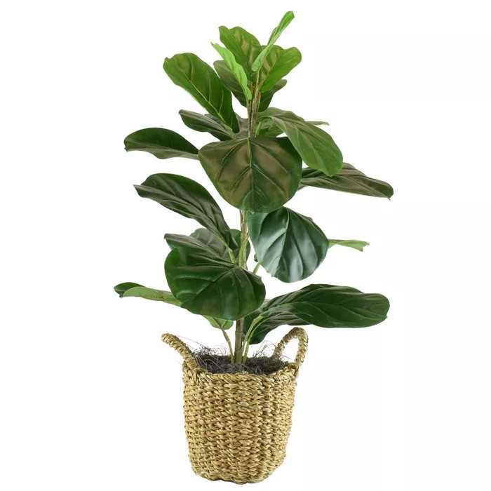 30" x 16" Artificial Fig Plant in Basket with Handles Green - LCG Florals | Target