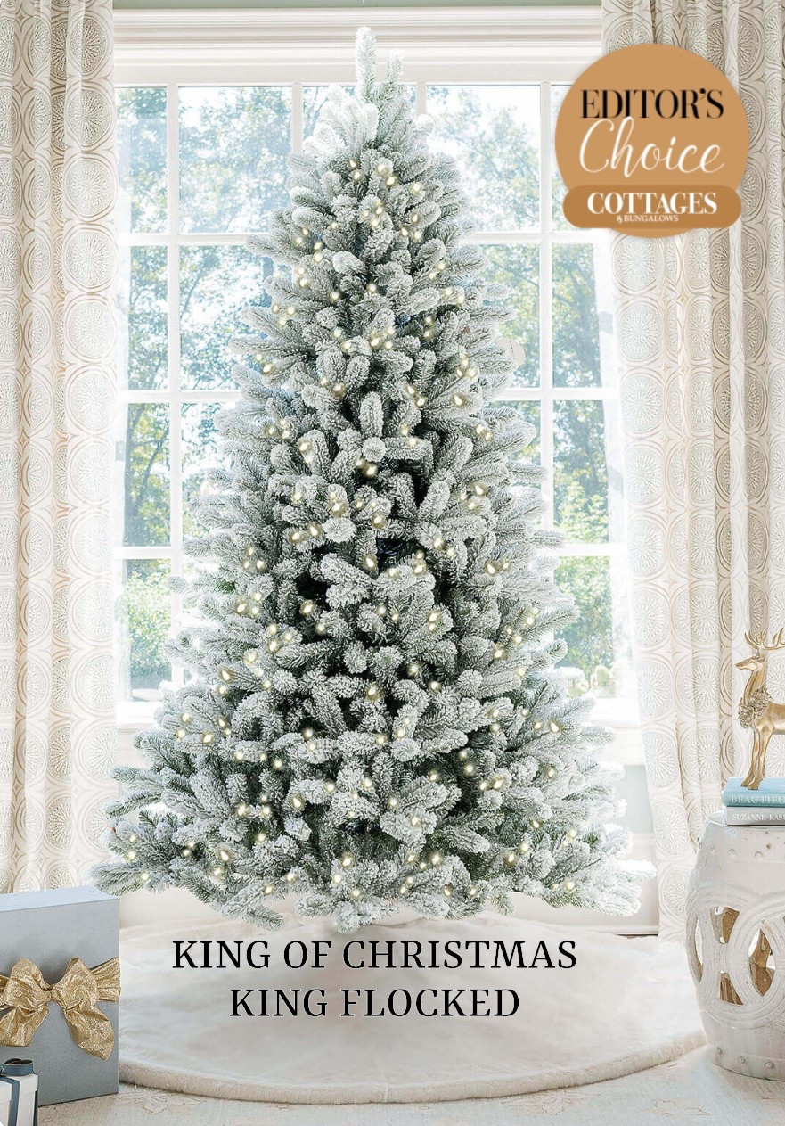 Christmas Tree Shopping Time! 