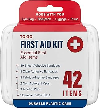 DecorRack 500 Piece First Aid Kit, 12 Individual Boxes of 42 Items Each, First Aid Kit for Car, H... | Amazon (US)