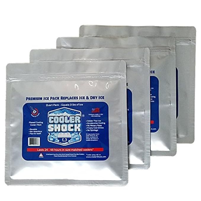 4 Mid Size Cooler Shock Freeze Packs 10"x 9" - No More Ice! Reusable. You Add Water & Save! | Amazon (US)