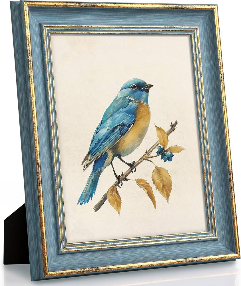 Vintage 8x10 Picture Frame Gold Line Blue Distressed Photo Frames Set Antique Wall Hanging Tablet... | Amazon (US)