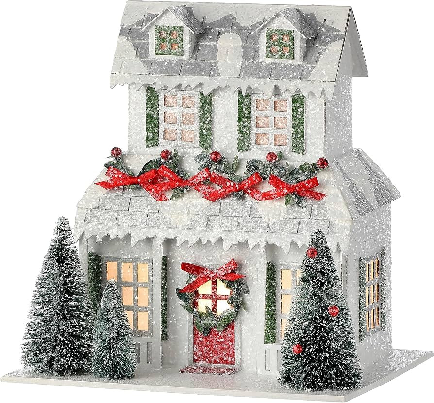 Regency International 9" Led/Bty TMR Crdbrd Xmas Snowman House | Amazon (US)
