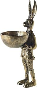 Accent Decor Eric and Eloise Collection 14-inch Brass Figurine with Bowl, Rabbit | Amazon (US)