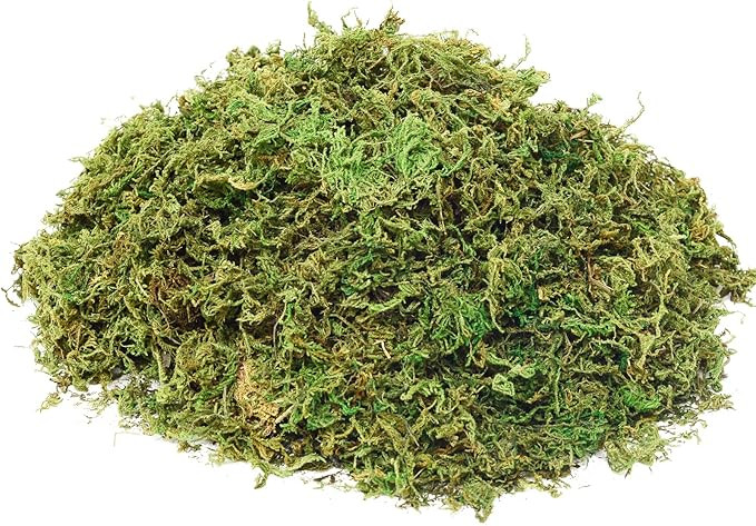 Fake Moss Artificial Moss for Potted Plants Greenery Moss(4OZ) Home Decor Fairy Garden Crafts Wed... | Amazon (US)