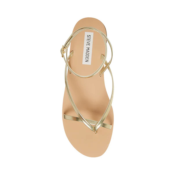 AMUSE GOLD | Steve Madden (US)