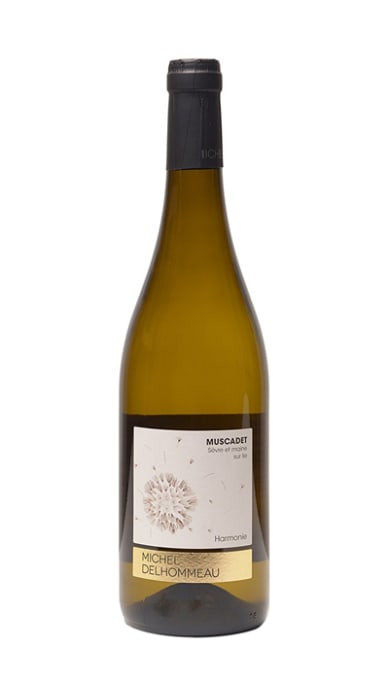 Delhommeau Muscadet de Sevre et Maine Harmonie 2020 | Wine.com | Wine.com