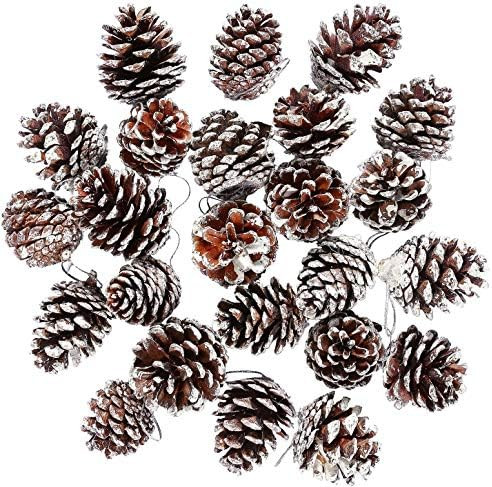 Christmas Pine Cones,18 Pieces Ornament Natural PineCones with String Pendant Crafts for Christma... | Amazon (US)