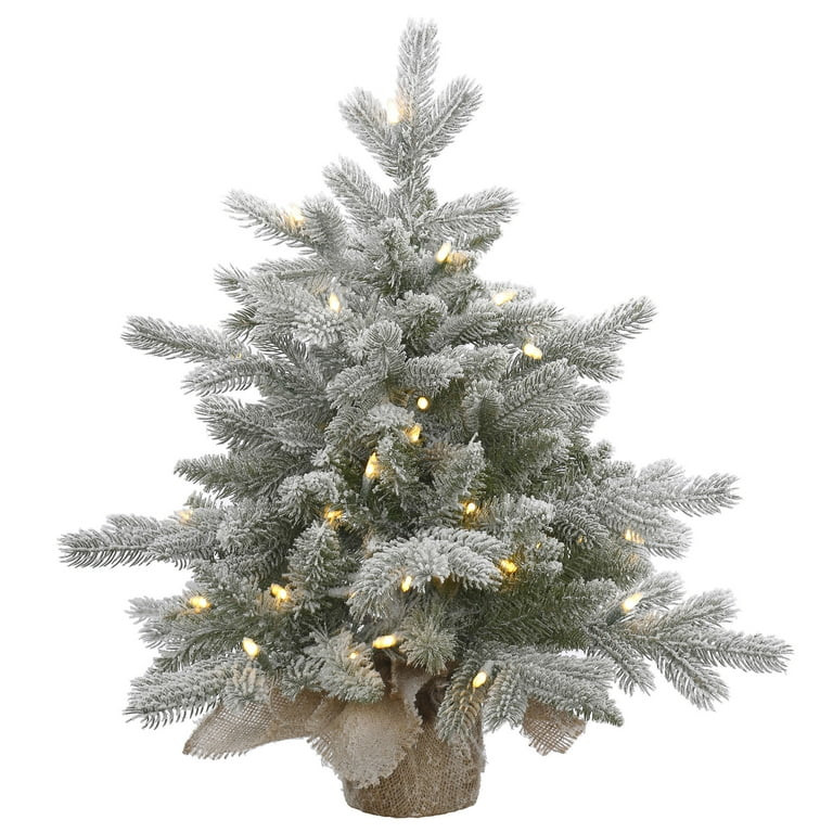 Vickerman 24" Frosted Sable Pine Artificial Christmas Tree, Clear Dura-Lit® Lights | Walmart (US)