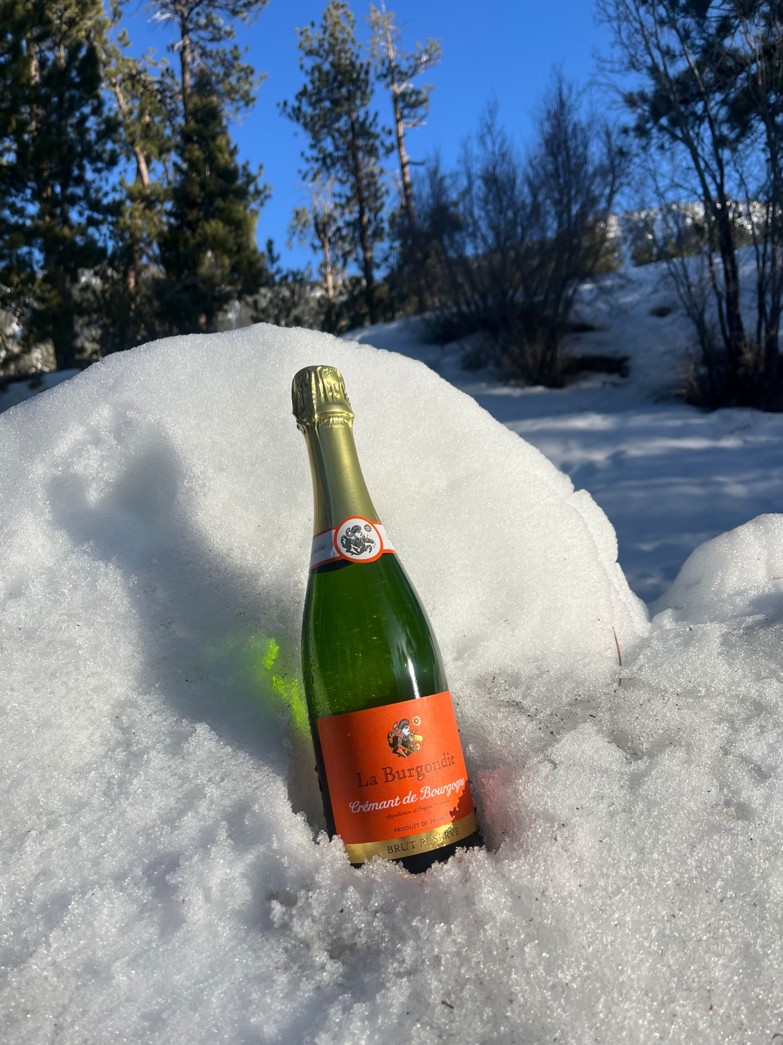 Champagne 🍾 chilling hack. 
#holidays
#ChristmasDecor
#snow #wintervibes 

#LTKselfcare #LTKdayinmylife #LTKHoliday