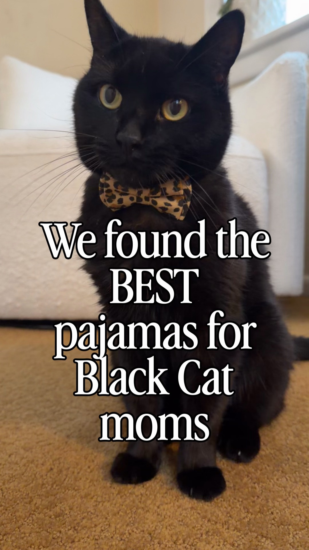 The softest pajamas for black cat moms to wear year round. Finally something not Halloween theme or spooky

#LTKselfcare #LTKSeasonal #LTKPetite