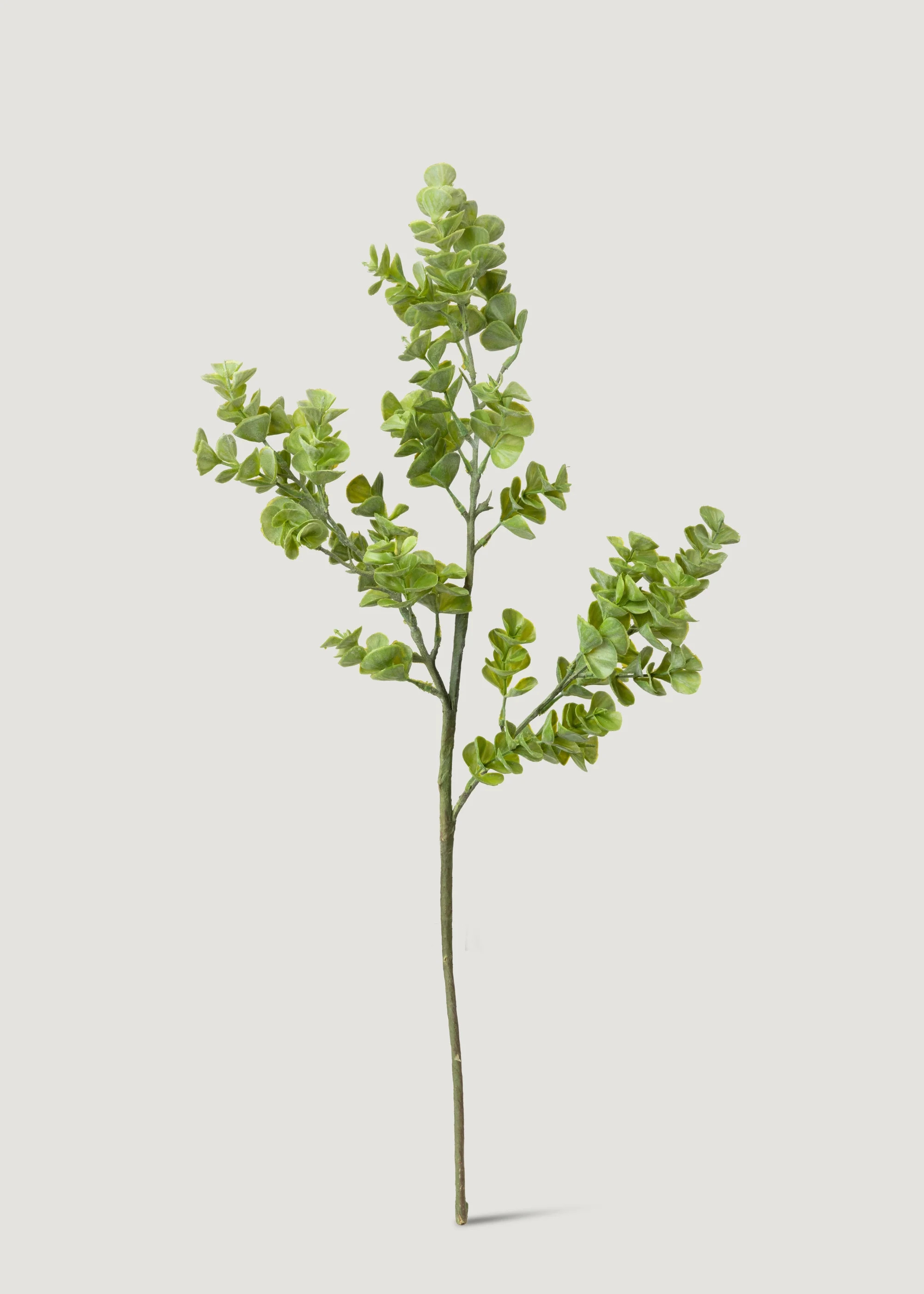 Real Touch Eucalyptus Branch | Best Faux Greenery Stems | Afloral | Afloral