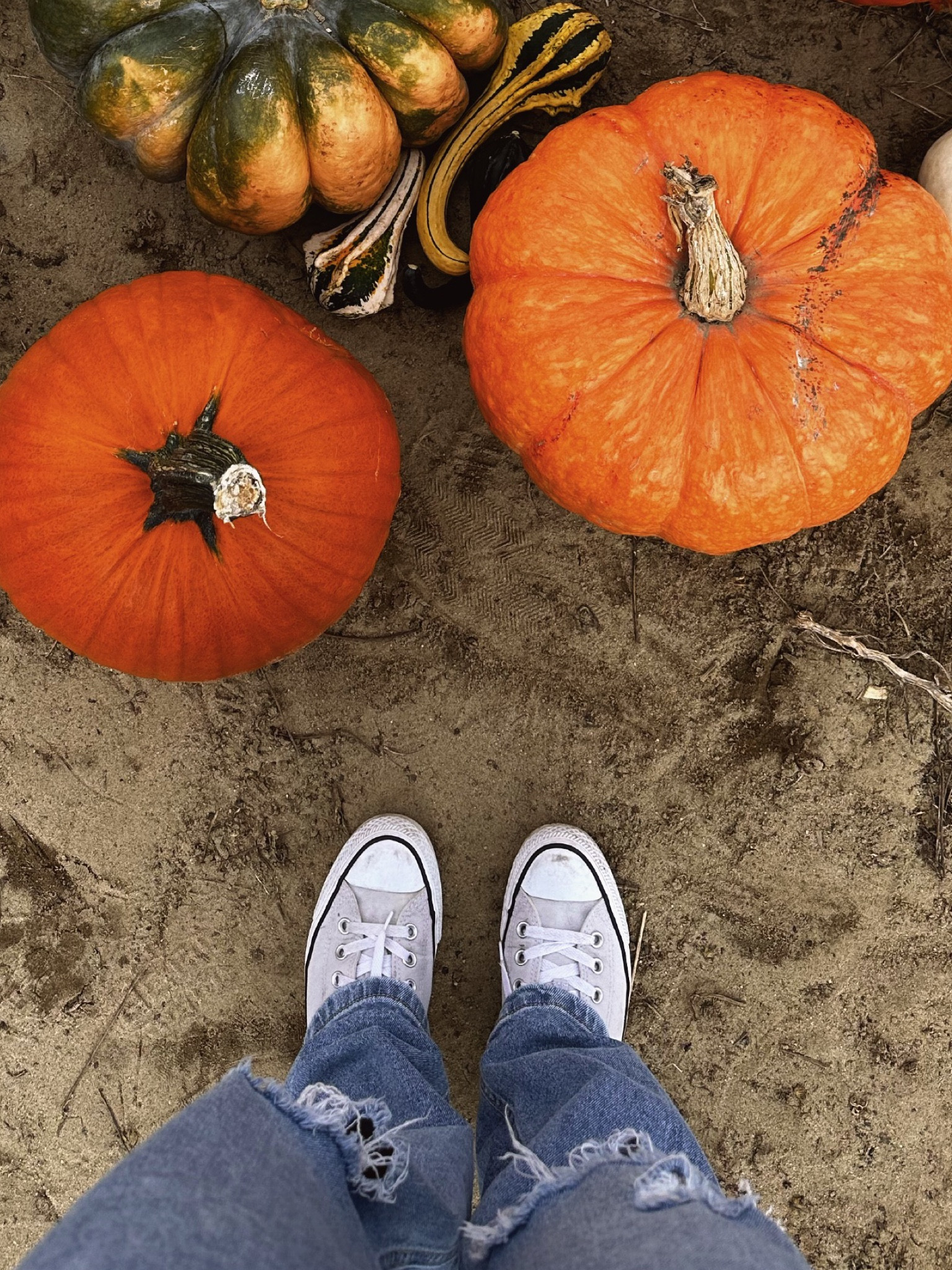 Casual sneaker- converse shoe- every day sneaker

#LTKshoecrush #LTKSeasonal #LTKfindsunder100