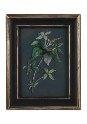 5 x 7 Black & Gold Photo Frame | Belk