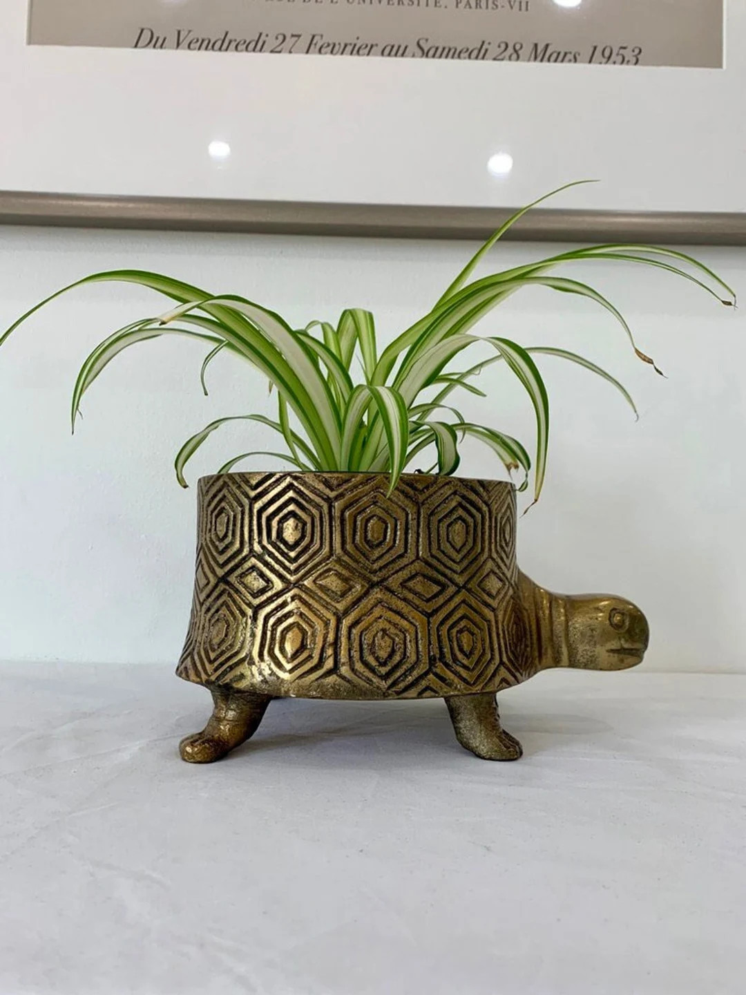 Brass Coated Turtle Footed Planter Pot - Etsy | Etsy (US)