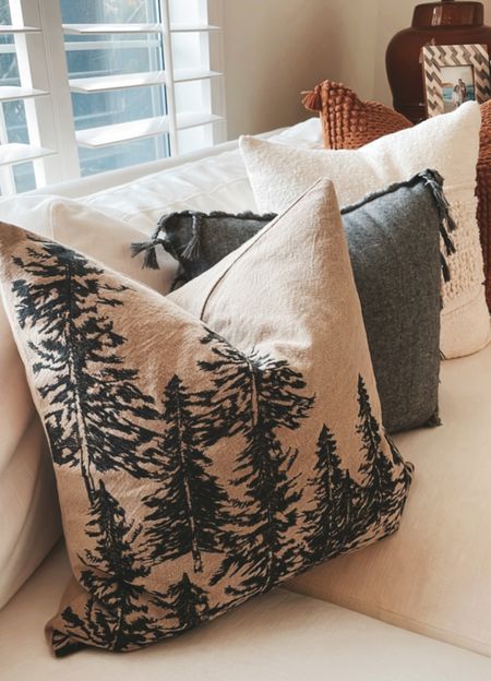 Love this seasonal pillow from Pottery Barn! Not too Christmasy so can be used all winter long. 

#winterdecor #winterhome #winter #pillow #pillowcover 

#LTKHoliday #LTKhome #LTKSeasonal