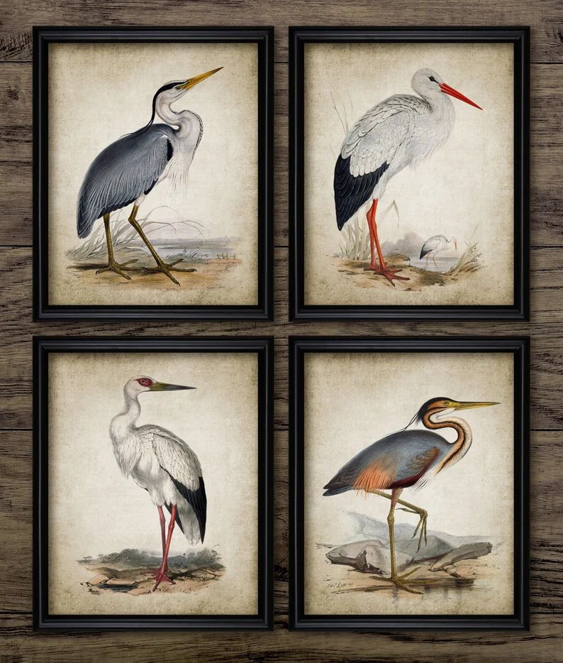 Vintage Heron and Stork Birds Print Set of 4, Printable Wall Art, Wild Bird Living Room Decor, Fr... | Etsy (US)