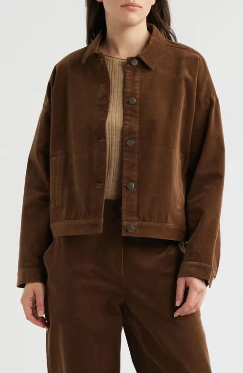 Eileen Fisher Classic Collar Stretch Organic Collar Corduroy Jacket in Mahogany at Nordstrom, Size X-Small | Nordstrom